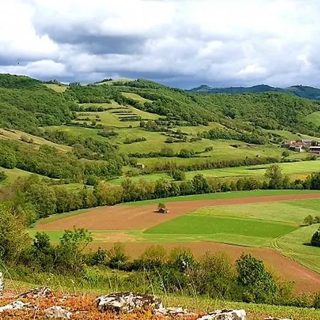 Appart Du Pays De Roquefort 公寓式酒店 *